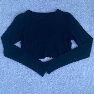 brandy melville “hailie basic long sleeve crop top”